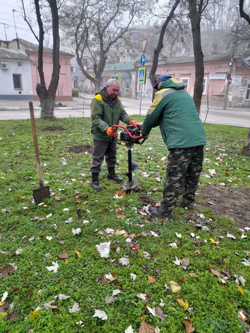 На Адмиральском бульваре стало больше деревьев