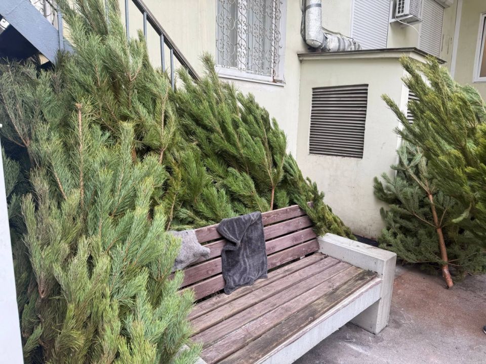 ����� ��������: ��� ����� �������� - ��� ������ ��������� �, ��������������, ������ ������ �������������� ��������