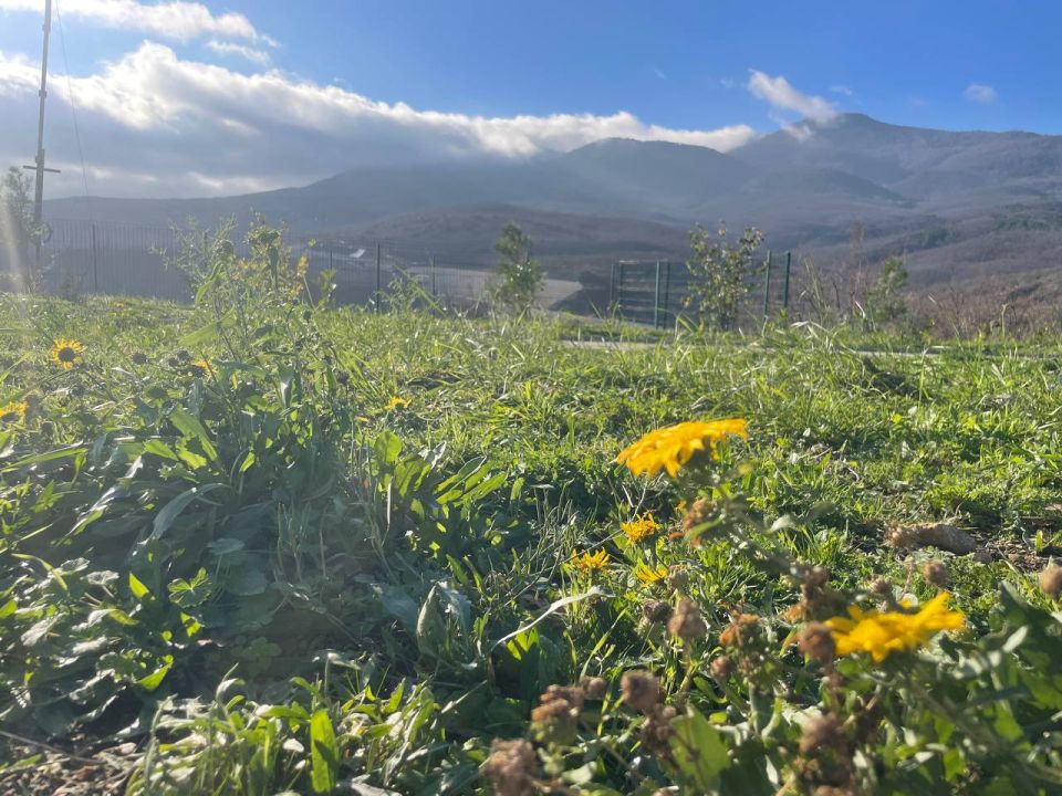 ������ ������: ��������� ���� � ������! �������� �� �������, ������� �� ����� ����� � �������� � ��������� ����! ��� �� ��������� ���� � ����� ������������ �����