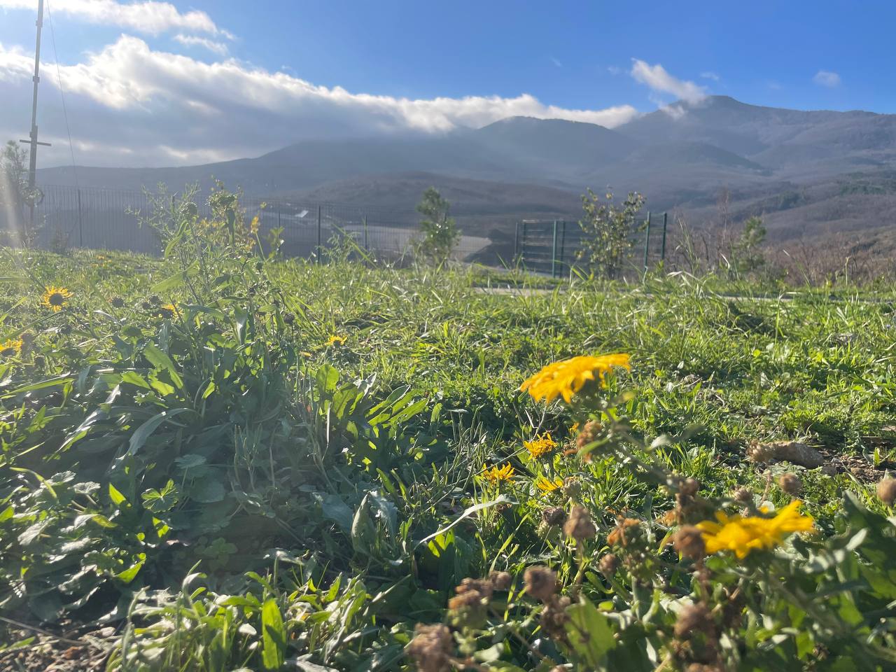 Галина Огнёва: Волшебная зима в Алуште! Несмотря на декабрь, сегодня на улице тепло и солнечно – настоящее чудо! Как же прекрасно жить в нашем удивительном Крыму Галина Огнёва: Волшебная зима в Алуште! Несмотря на декабрь, сегодня на улице тепло и солнечно – настоящее чудо! Как же прекрасно жить в нашем удивительном Крыму