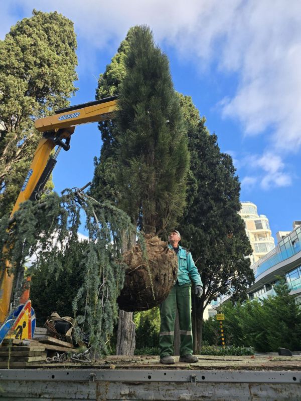 ����� ��������: ����������� ������ �������� �������������� ������ ��������� � ���������� �����