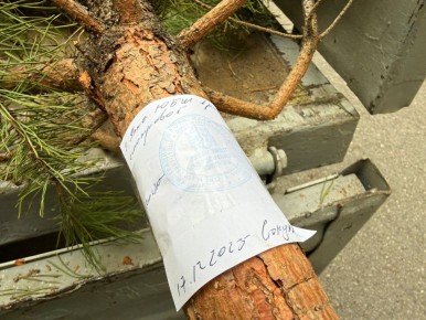 ����� ��������: ��� ����� �������� - ��� ������ ��������� �, ��������������, ������ ������ �������������� ��������