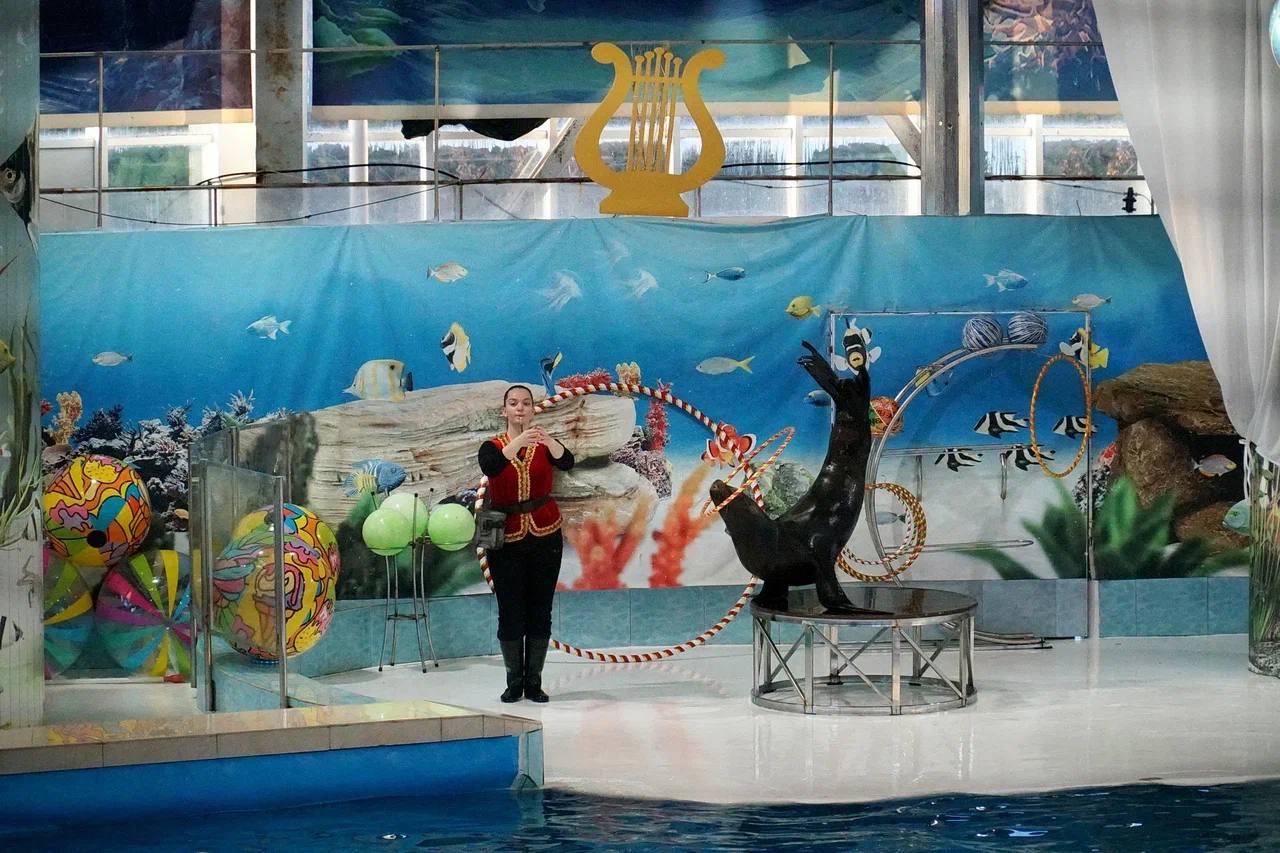 Александр Юрьев: Новый год и Рождество – время, когда сбываются мечты и происходят чудеса Александр Юрьев: Новый год и Рождество – время, когда сбываются мечты и происходят чудеса