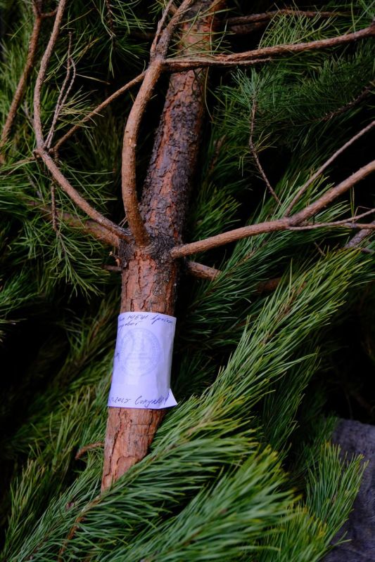 ����� ��������: ��� ����� �������� - ��� ������ ��������� �, ��������������, ������ ������ �������������� ��������