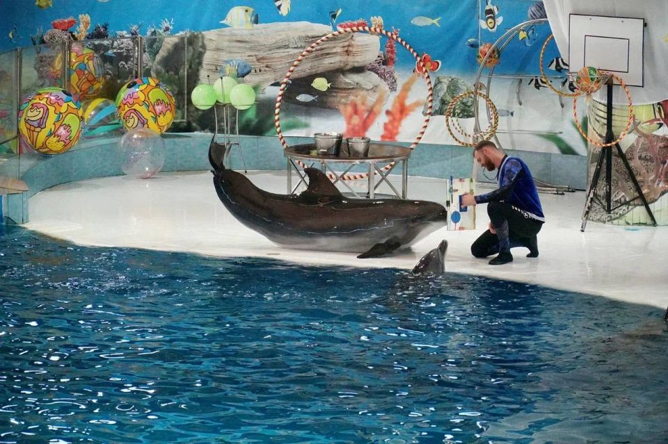 ��������� �����: ����� ��� � ��������� � �����, ����� ��������� ����� � ���������� ������