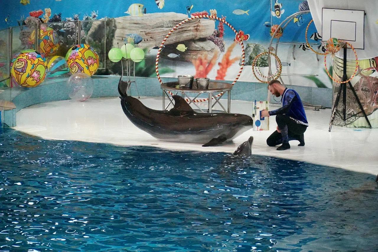 Александр Юрьев: Новый год и Рождество – время, когда сбываются мечты и происходят чудеса Александр Юрьев: Новый год и Рождество – время, когда сбываются мечты и происходят чудеса