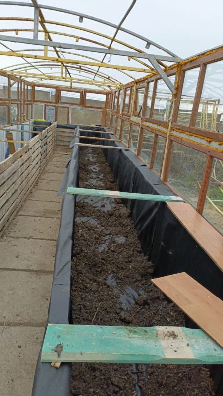 �� ������������ �������� ����� ������ ��������