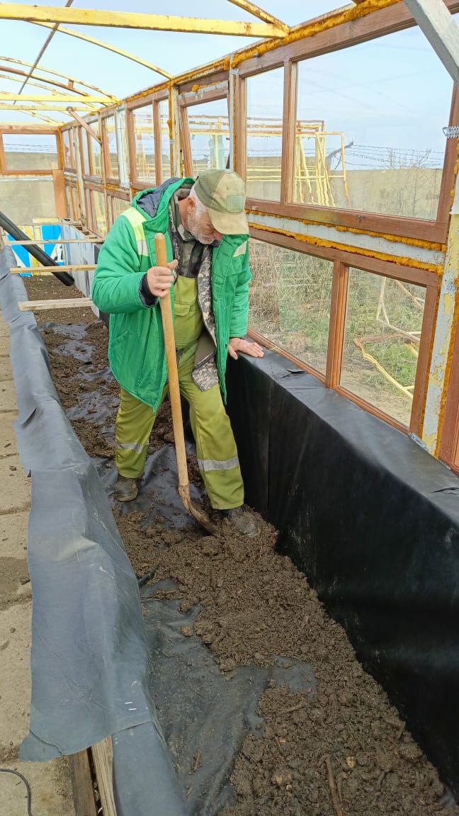 На Адмиральском бульваре стало больше деревьев На Адмиральском бульваре стало больше деревьев