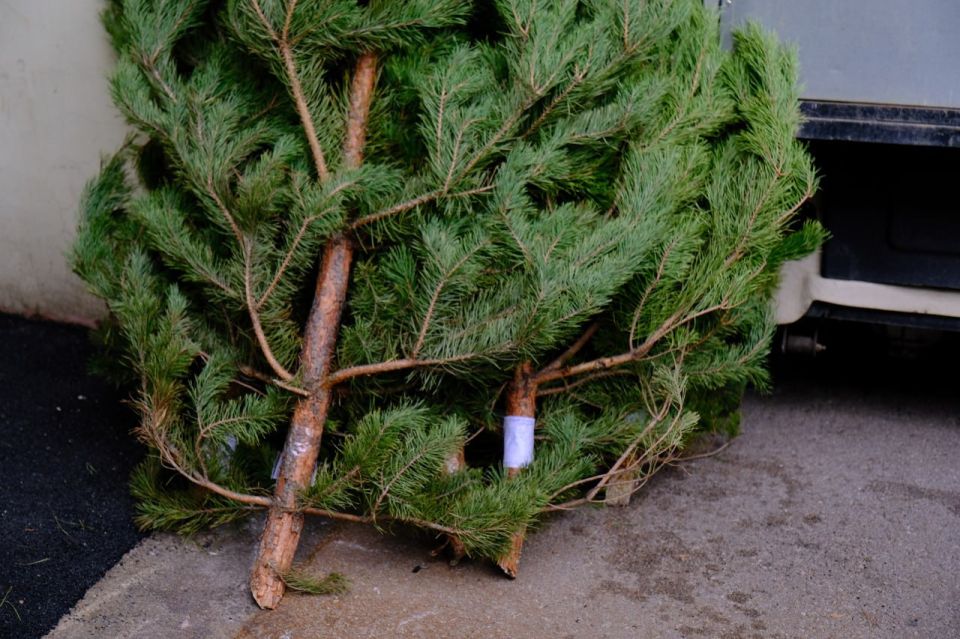 ����� ��������: ��� ����� �������� - ��� ������ ��������� �, ��������������, ������ ������ �������������� ��������