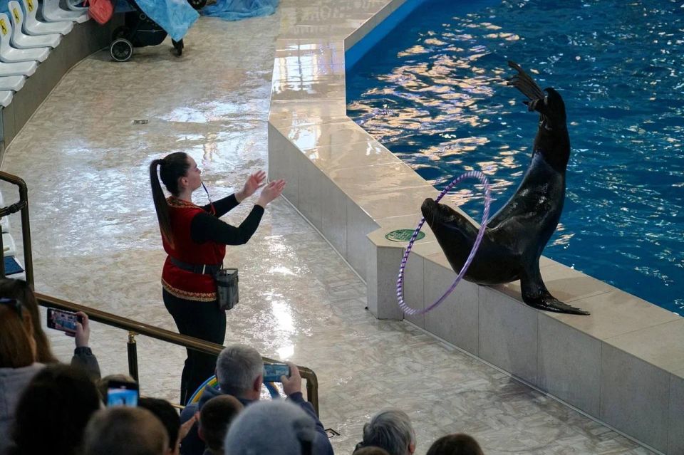 ��������� �����: ����� ��� � ��������� � �����, ����� ��������� ����� � ���������� ������