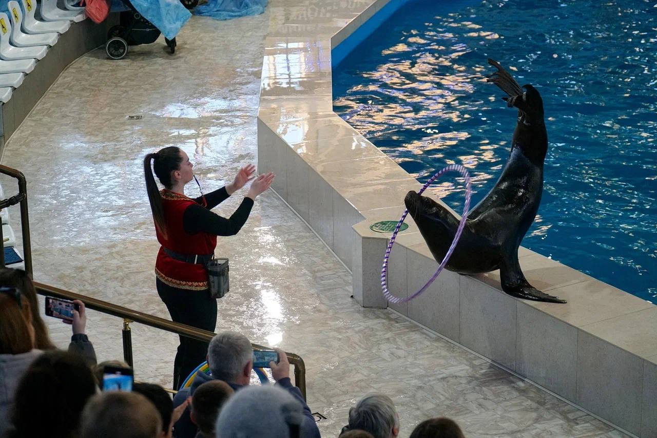 Александр Юрьев: Новый год и Рождество – время, когда сбываются мечты и происходят чудеса Александр Юрьев: Новый год и Рождество – время, когда сбываются мечты и происходят чудеса