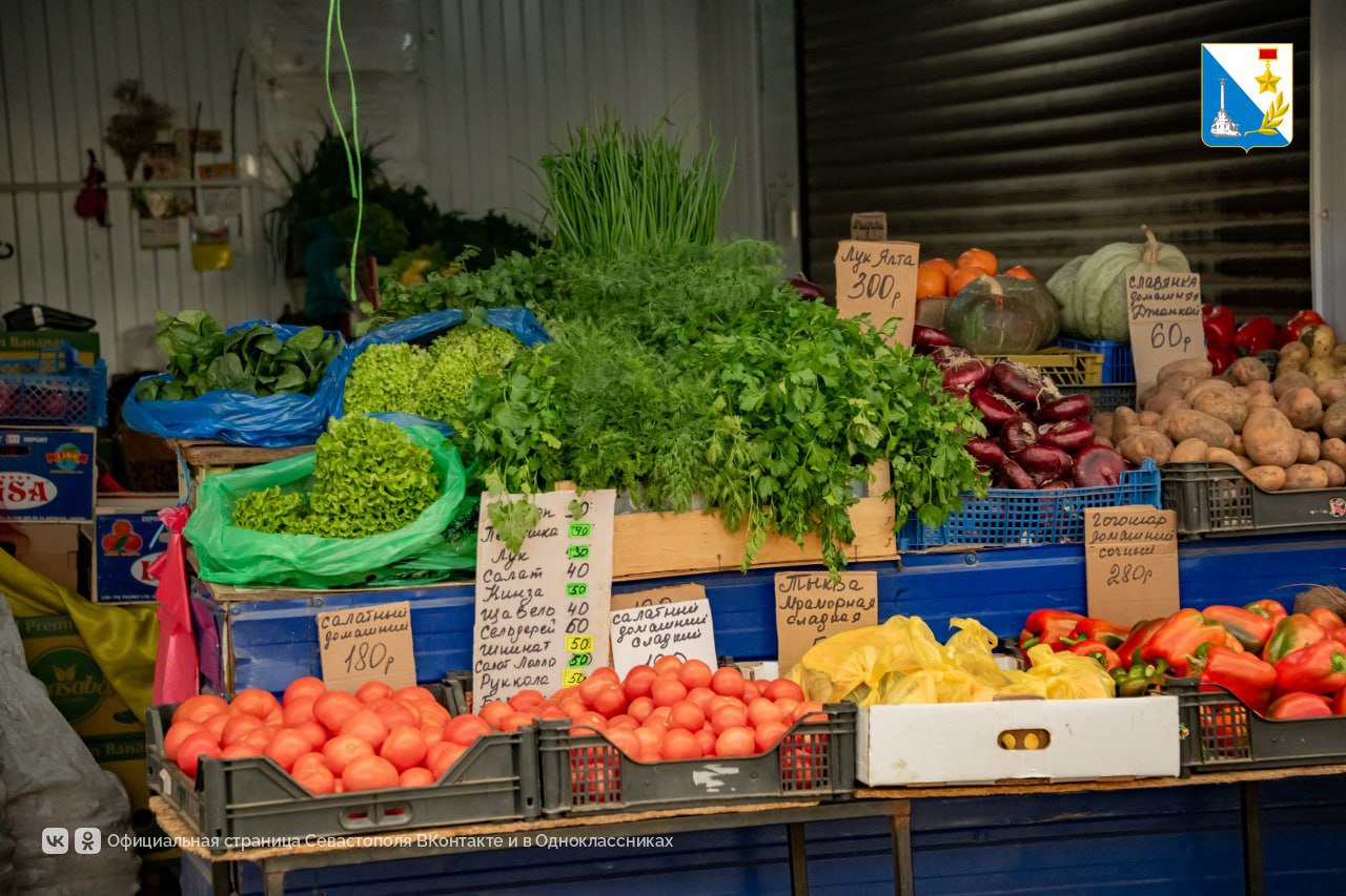 Контролируем качество продуктов на рынке «Чайка» Контролируем качество продуктов на рынке «Чайка»