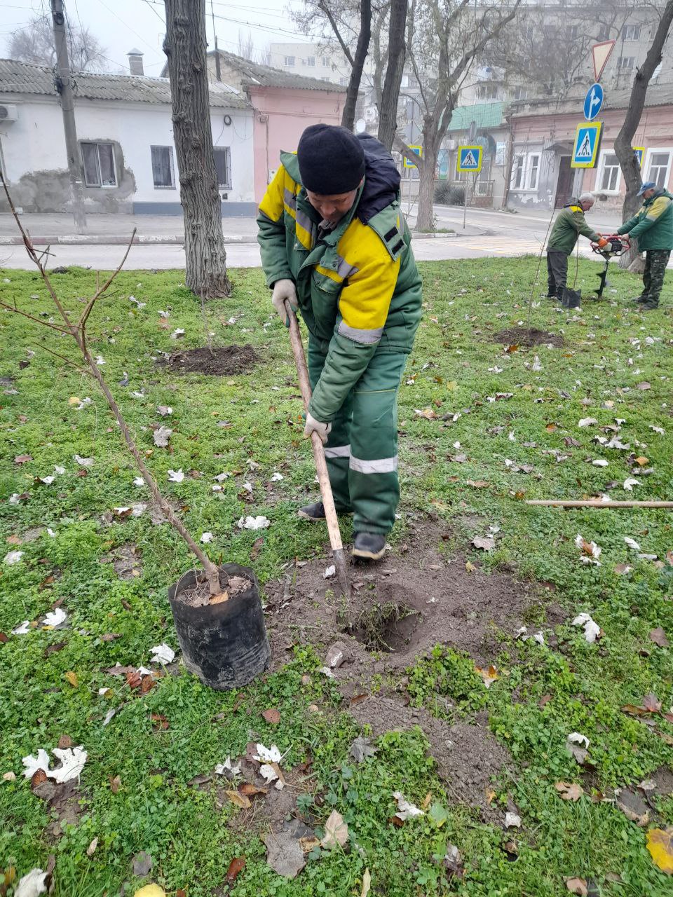 На Адмиральском бульваре стало больше деревьев На Адмиральском бульваре стало больше деревьев