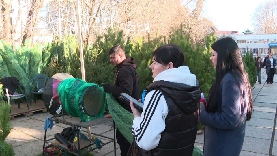 В Симферополе работают 24 ёлочных базара В Симферополе работают 24 ёлочных базара