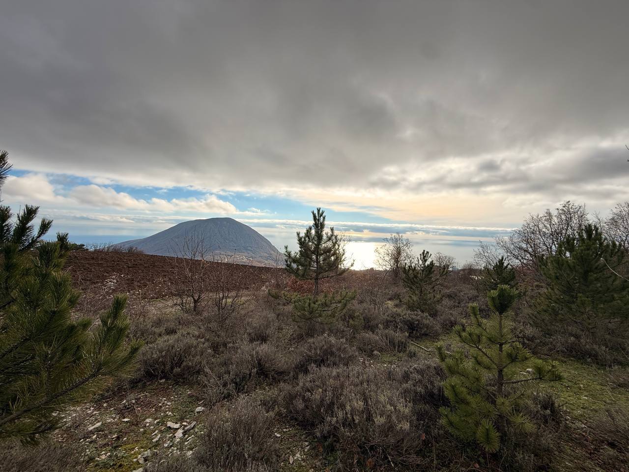 Ольга Шевцова: Ёлку — только легально. Сегодня вместе с коллегами из МВД по Республике Крым провели очередной совместный рейд по охране лесного фонда В предновогодний период мы традиционно усиливаем контроль — особенно в тех... Ольга Шевцова: Ёлку — только легально. Сегодня вместе с коллегами из МВД по Республике Крым провели очередной совместный рейд по охране лесного фонда В предновогодний период мы традиционно усиливаем контроль — особенно в тех...