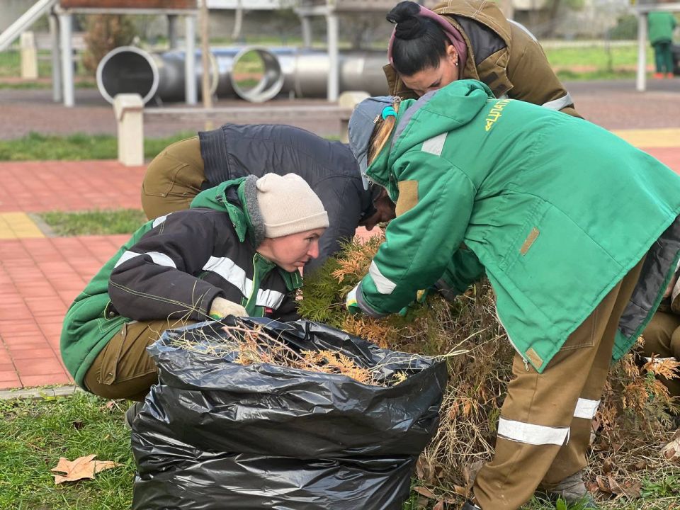 В сквере на Таврической площади проводят обрезку кустарников и обкопку деревьев В сквере на Таврической площади проводят обрезку кустарников и обкопку деревьев