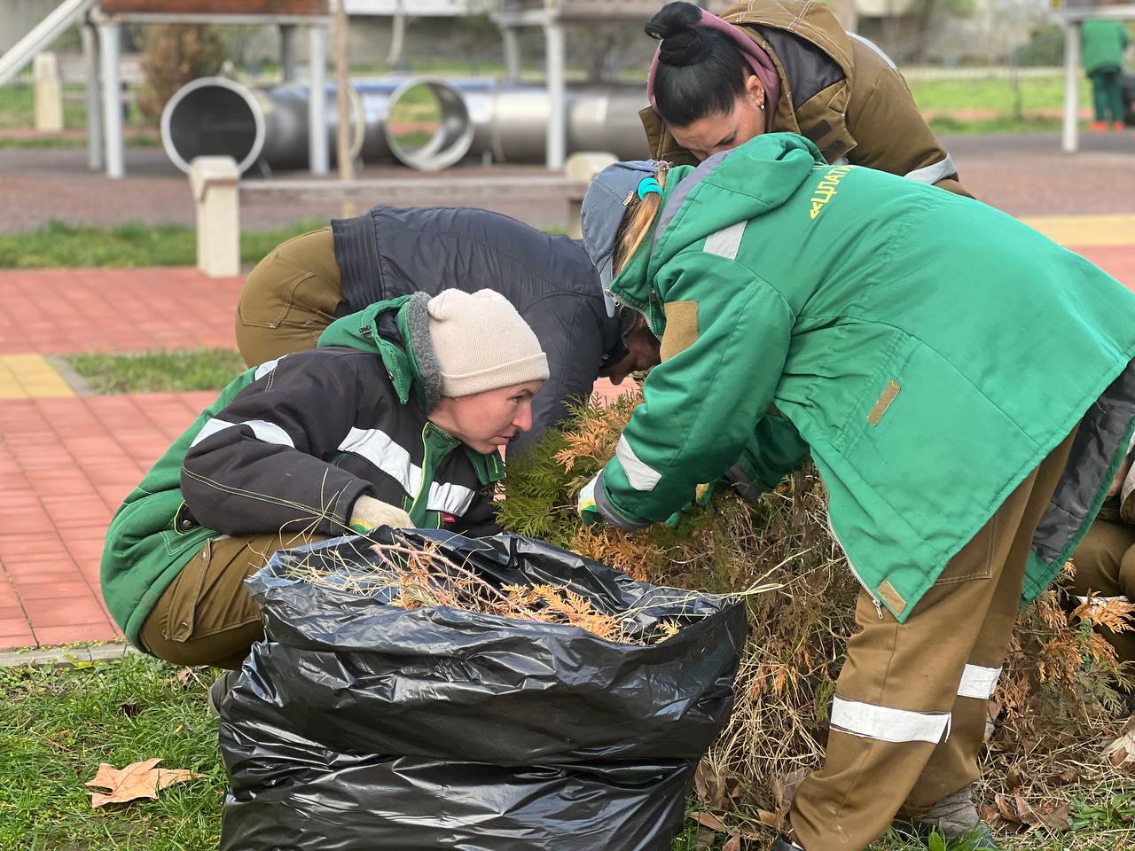В сквере на Таврической площади проводят обрезку кустарников и обкопку деревьев В сквере на Таврической площади проводят обрезку кустарников и обкопку деревьев
