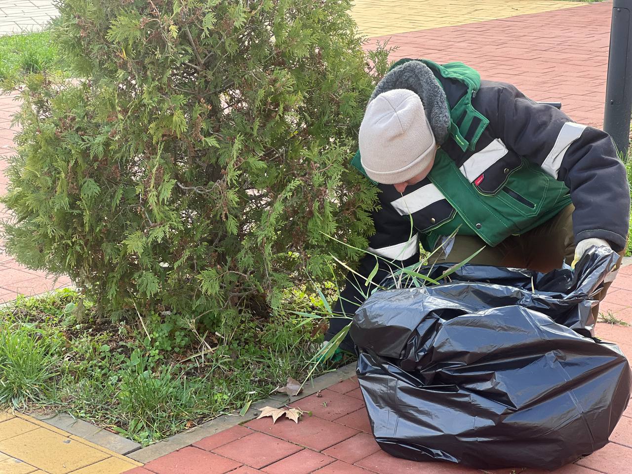 В сквере на Таврической площади проводят обрезку кустарников и обкопку деревьев В сквере на Таврической площади проводят обрезку кустарников и обкопку деревьев