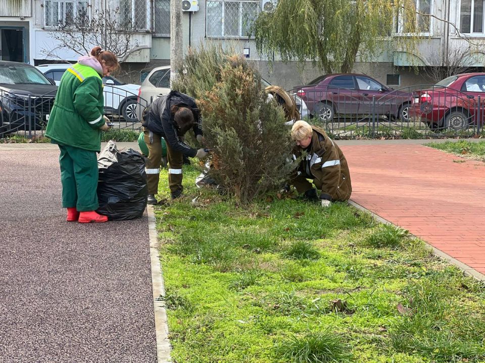 В сквере на Таврической площади проводят обрезку кустарников и обкопку деревьев В сквере на Таврической площади проводят обрезку кустарников и обкопку деревьев