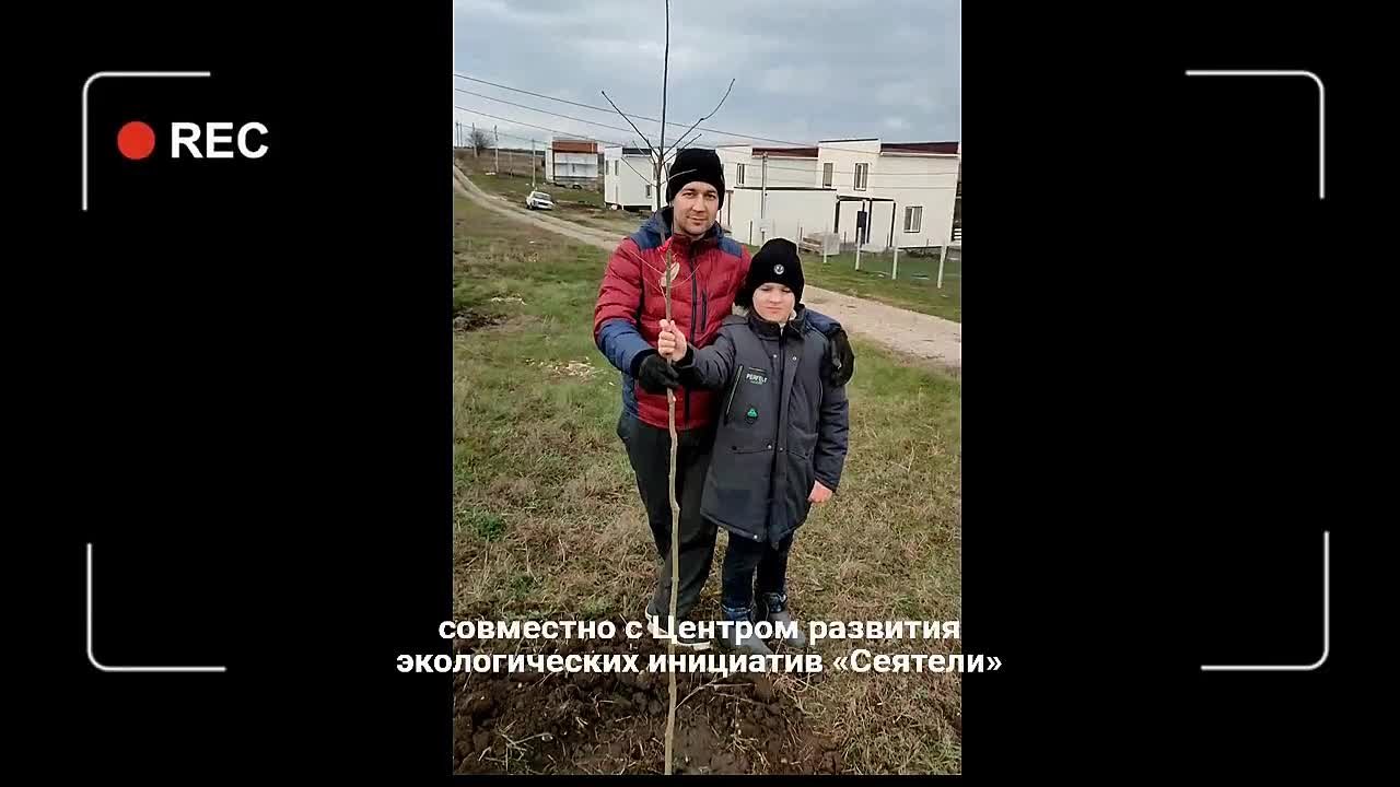 Новая дубовая роща в селе Донское