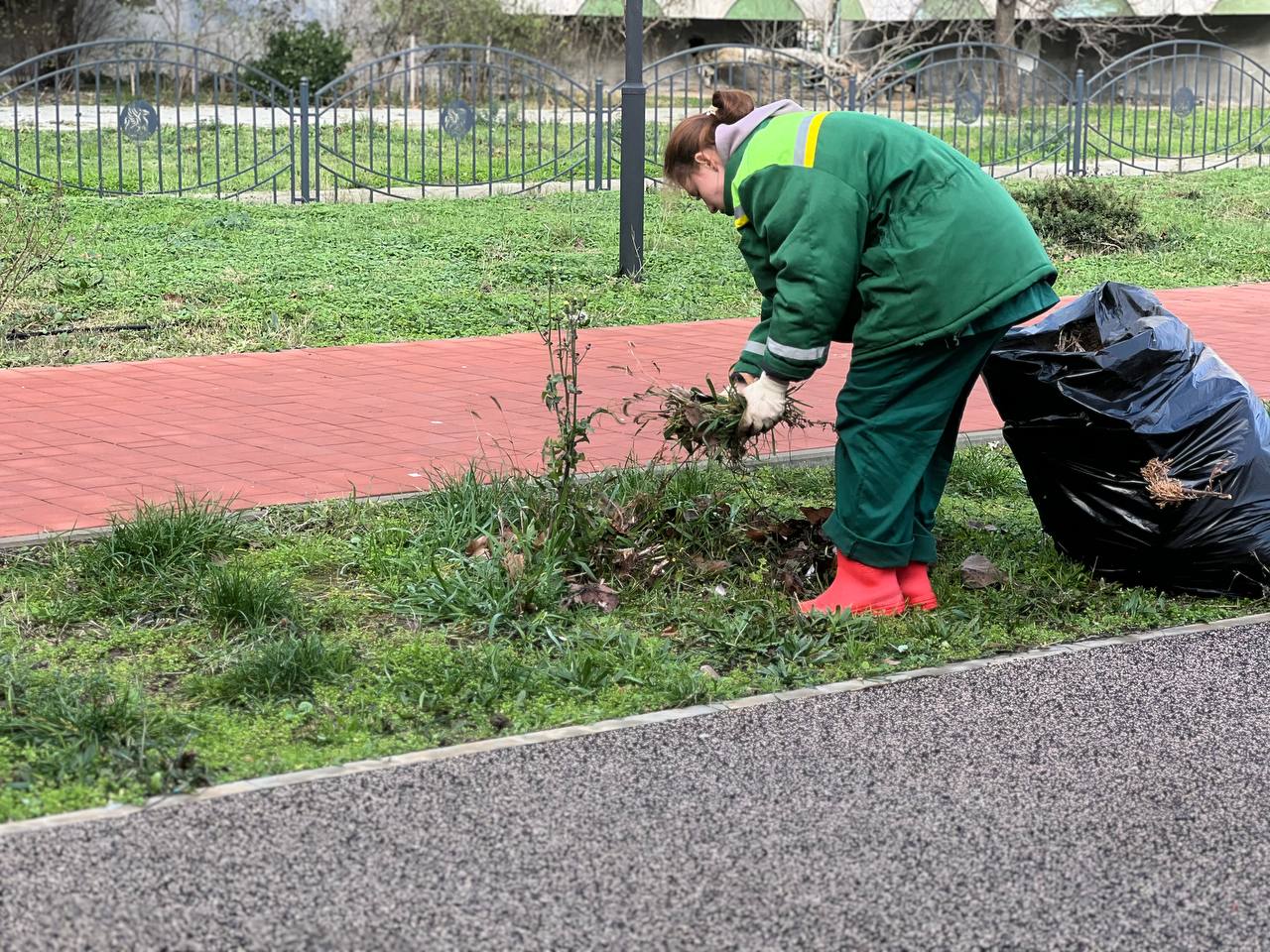 В сквере на Таврической площади проводят обрезку кустарников и обкопку деревьев В сквере на Таврической площади проводят обрезку кустарников и обкопку деревьев