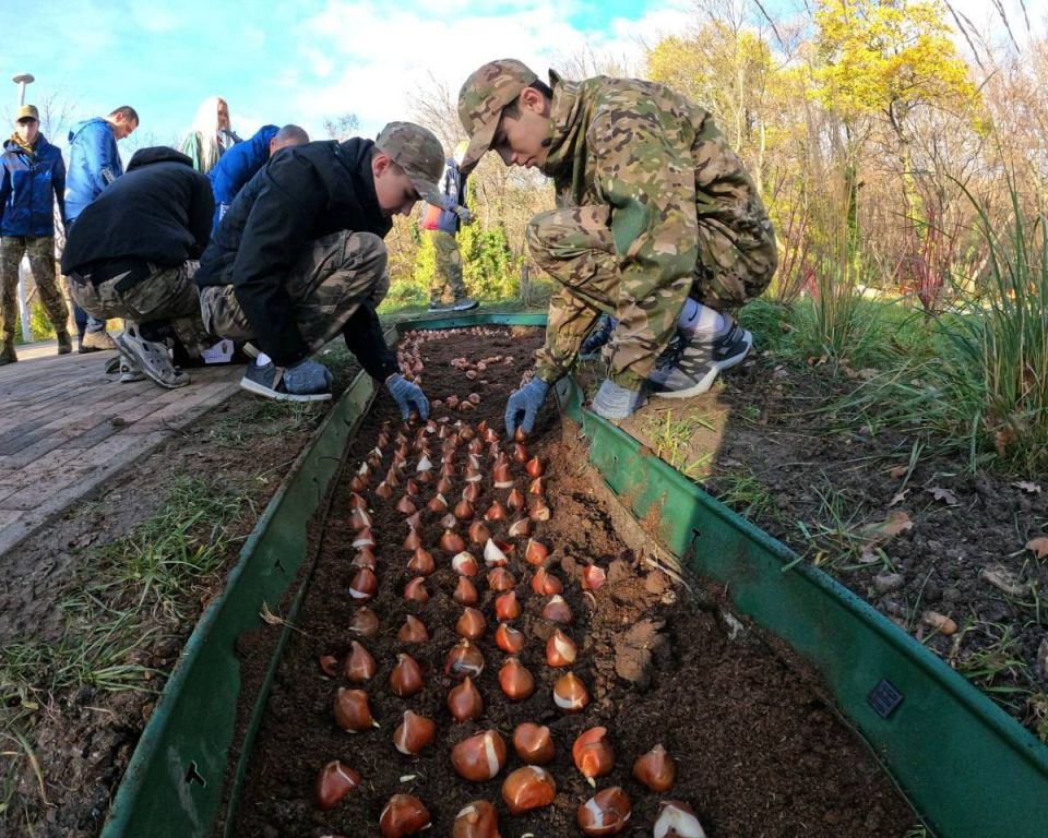 ����� ��������: 5,5 ����� ��������� ��������� ������ � ����������� �����