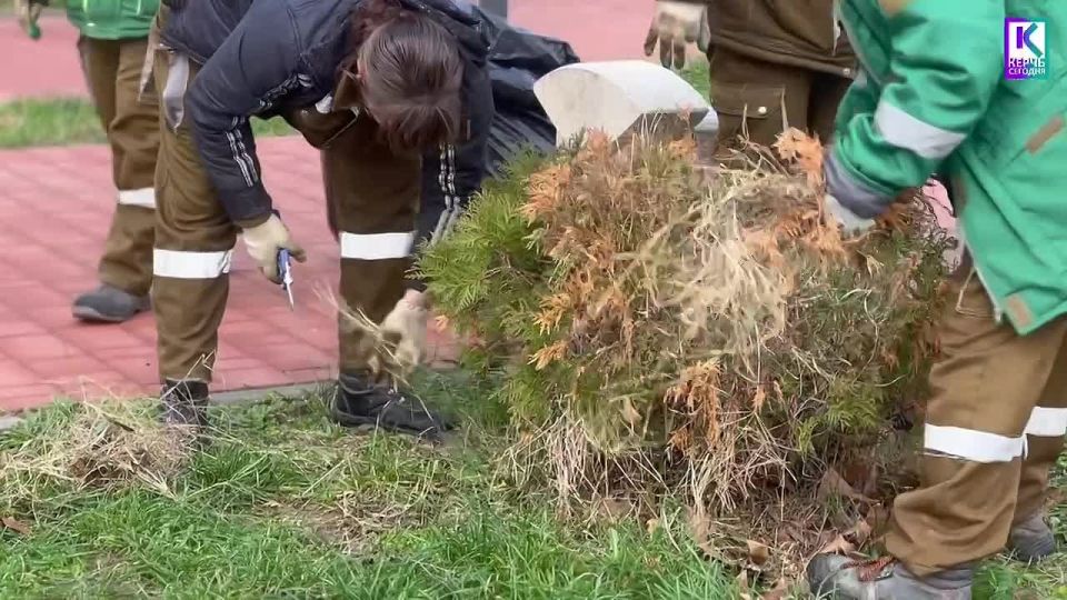 В сквере на Таврической площади проводят обрезку кустарников и обкопку деревьев