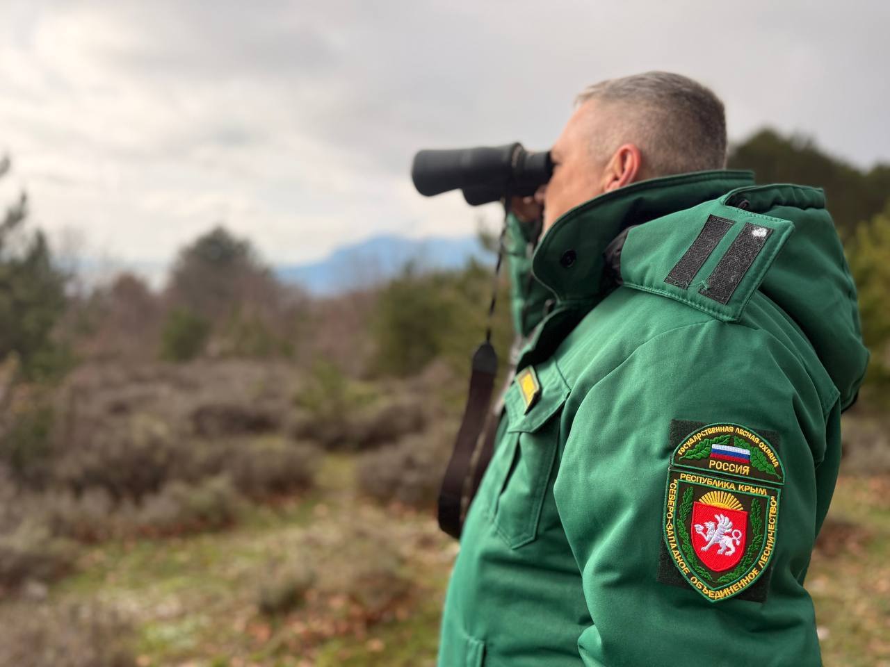 Ольга Шевцова: Ёлку — только легально. Сегодня вместе с коллегами из МВД по Республике Крым провели очередной совместный рейд по охране лесного фонда В предновогодний период мы традиционно усиливаем контроль — особенно в тех...