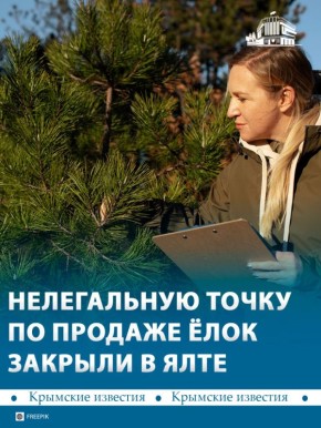 50 сосен изъяли у продавца в Ялте