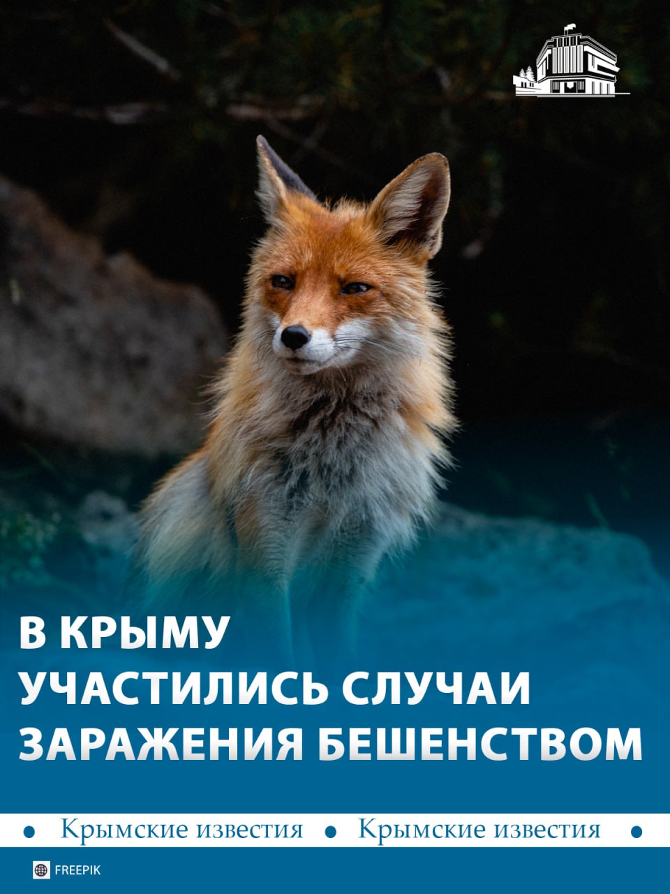 Рост заболевания бешенством зафиксировали в Крыму