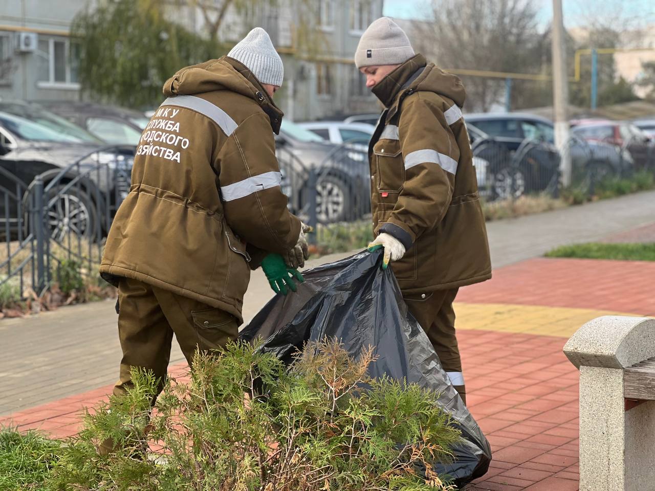 В сквере на Таврической площади проводят обрезку кустарников и обкопку деревьев В сквере на Таврической площади проводят обрезку кустарников и обкопку деревьев