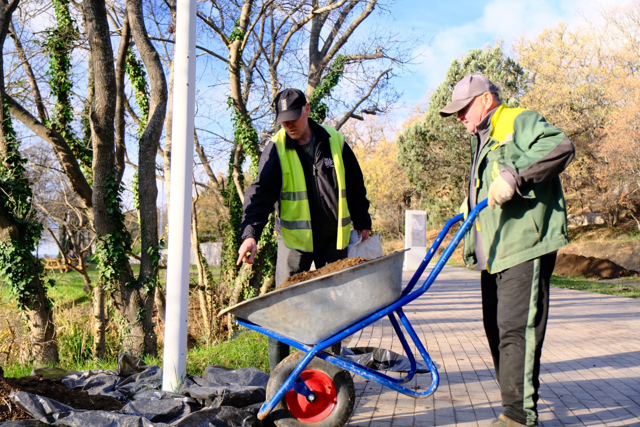 Янина Павленко: 5,5 тысяч тюльпанов расцветут весной в Милютинском парке Янина Павленко: 5,5 тысяч тюльпанов расцветут весной в Милютинском парке
