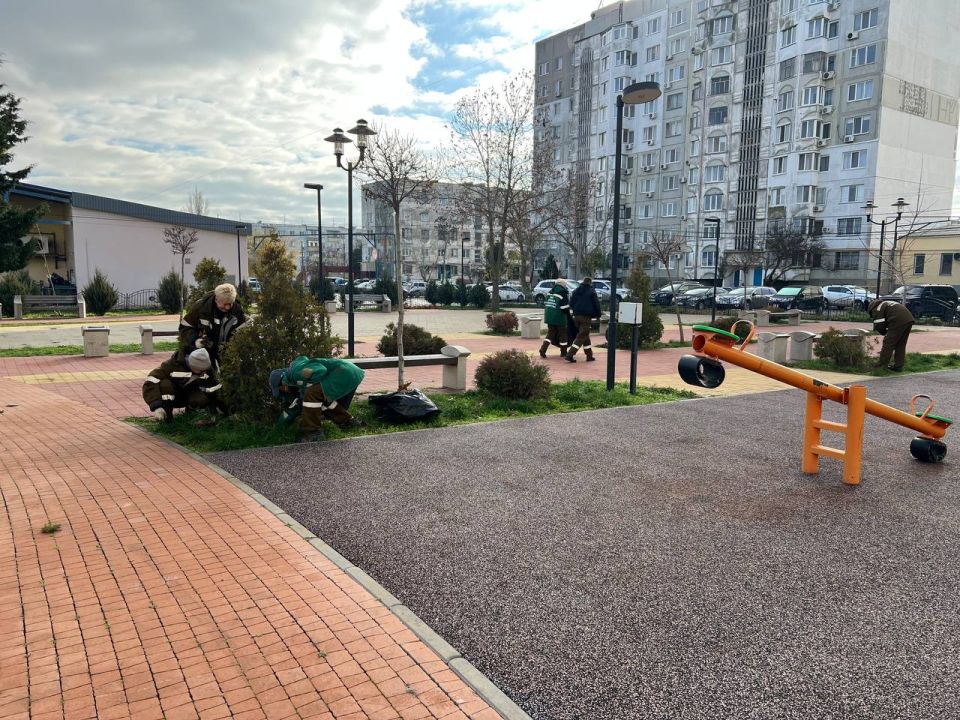 В сквере на Таврической площади проводят обрезку кустарников и обкопку деревьев В сквере на Таврической площади проводят обрезку кустарников и обкопку деревьев