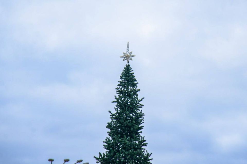 ��������� �����: ������� ���� ��������� ��������� ������ ���� ����������� ����