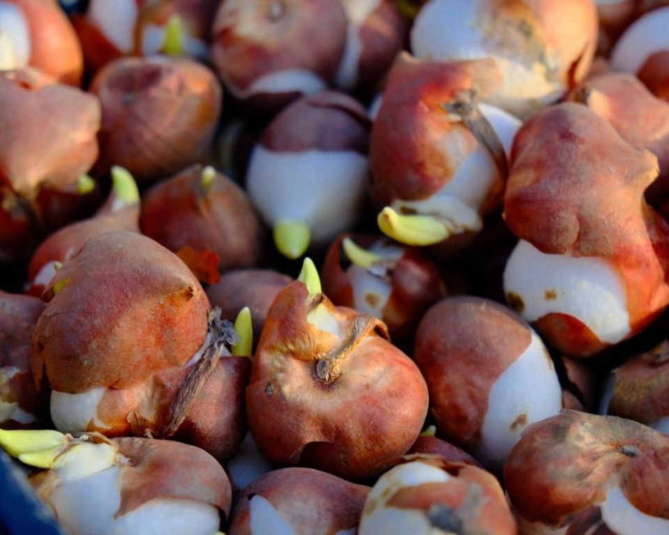 ����� ��������: 5,5 ����� ��������� ��������� ������ � ����������� �����