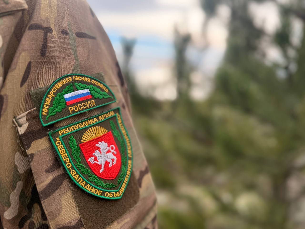 Ольга Шевцова: Ёлку — только легально. Сегодня вместе с коллегами из МВД по Республике Крым провели очередной совместный рейд по охране лесного фонда В предновогодний период мы традиционно усиливаем контроль — особенно в тех... Ольга Шевцова: Ёлку — только легально. Сегодня вместе с коллегами из МВД по Республике Крым провели очередной совместный рейд по охране лесного фонда В предновогодний период мы традиционно усиливаем контроль — особенно в тех...