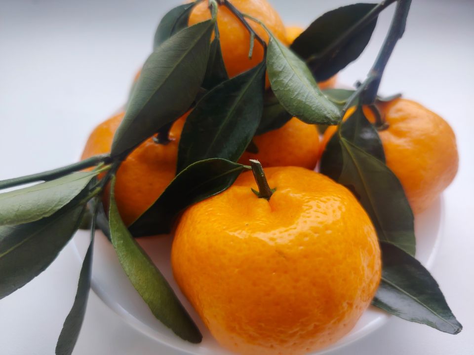 � ������ �����, �������!. ����� ������ ����, ��� ����������� �� ������� ����, ���������� � ������ ����