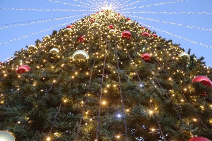 � ���� ������� ������� �������� ���� �� ������� ���� �����