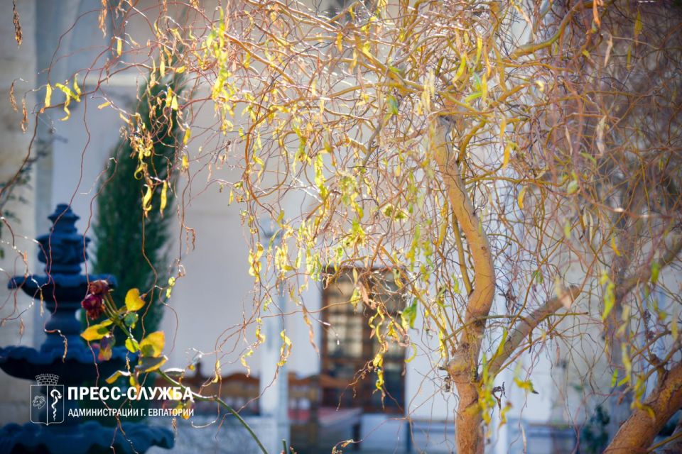 ������ ����, ���������!. ����������� ������� ���������� ������� �� +11��