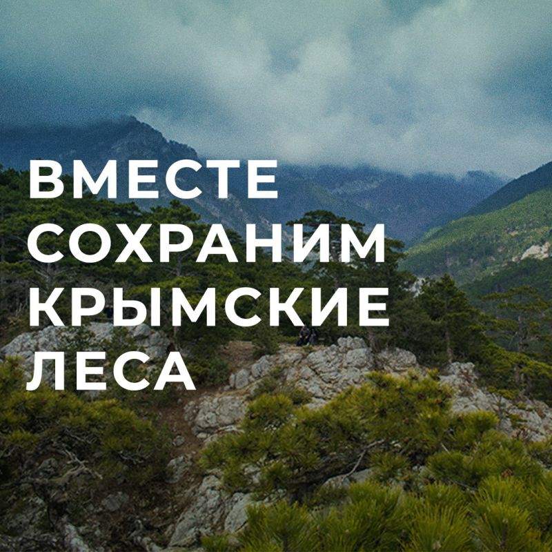 ������ �������� ����� ������� � ���������� ���������� ����������