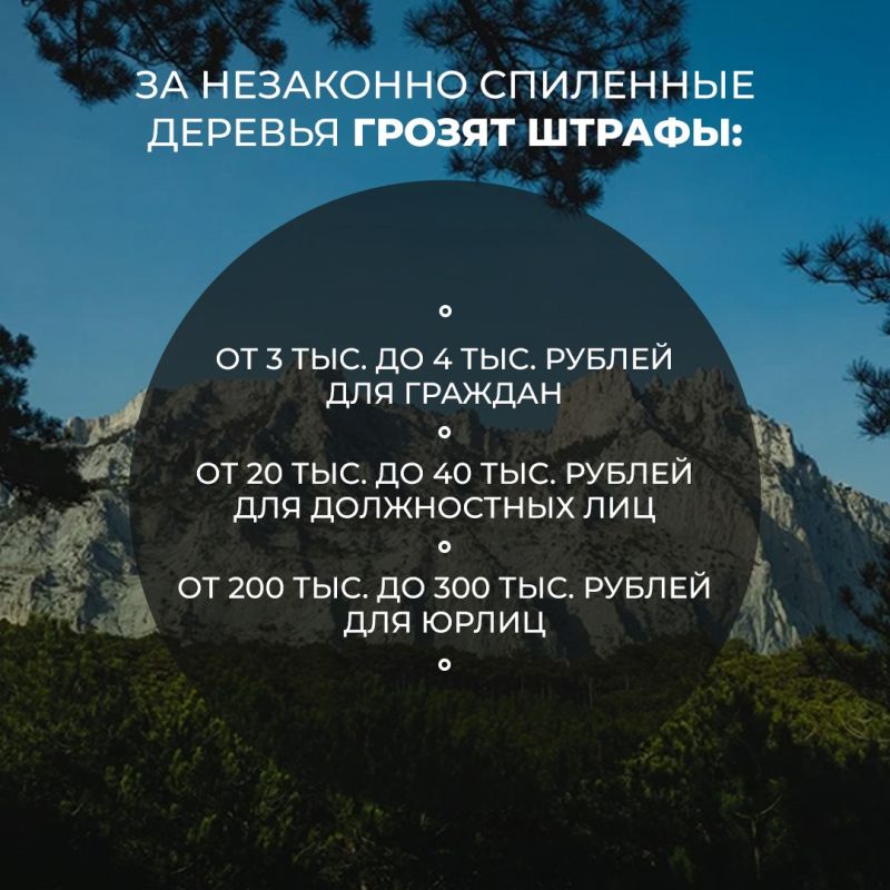 ������ �������� ����� ������� � ���������� ���������� ����������