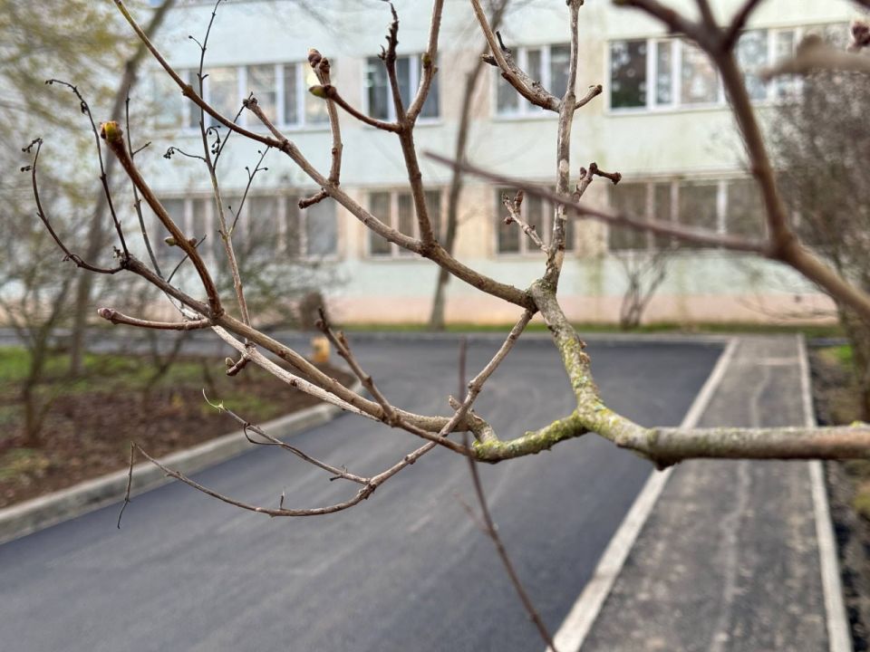 �� ���������� ����� � 26 ��. ����� ���������� ����� �.�. ����� ��������� ���������� ������