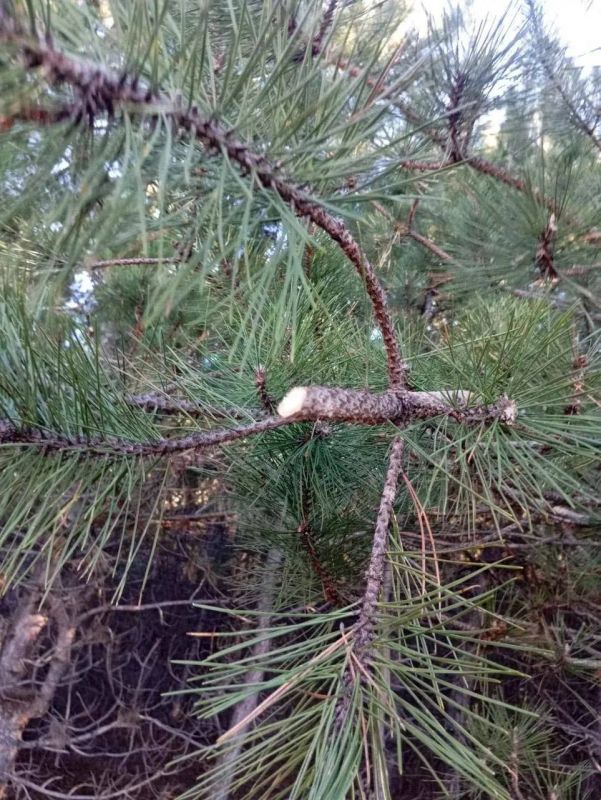 ���� ���������� ��������� ������ ��������� �������� � �������������� ������