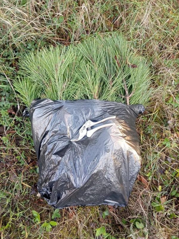 ����� �������: ���� 0,5 � � ��� ��� ����� , �� ��� ���������