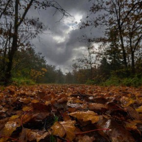 Какая погода ждёт жителей и гостей Крыма 19 декабря