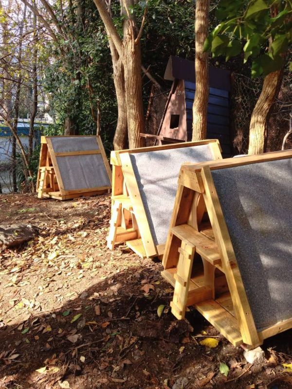 ����� ��������: �������� ������������ ����� � ����� ������� ��������� � ����� ���������