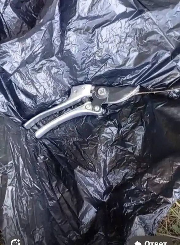 ���� ���������� ��������� ������ ��������� �������� � �������������� ������