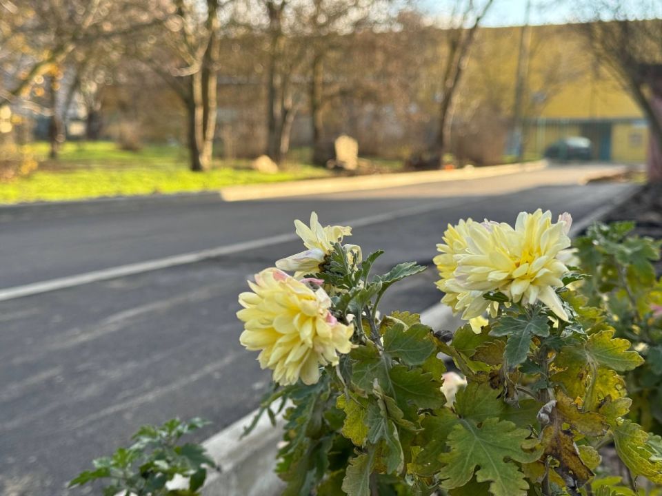 �� ���������� ����� � 26 ��. ����� ���������� ����� �.�. ����� ��������� ���������� ������