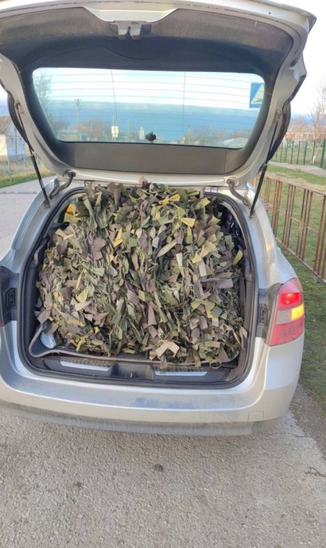 ����� ������: � ���������� ����� �� ���������, ����� ������ � ���� � �������� �������� ������� �� ������ �������, � ������ ������������� ���� ��� ������