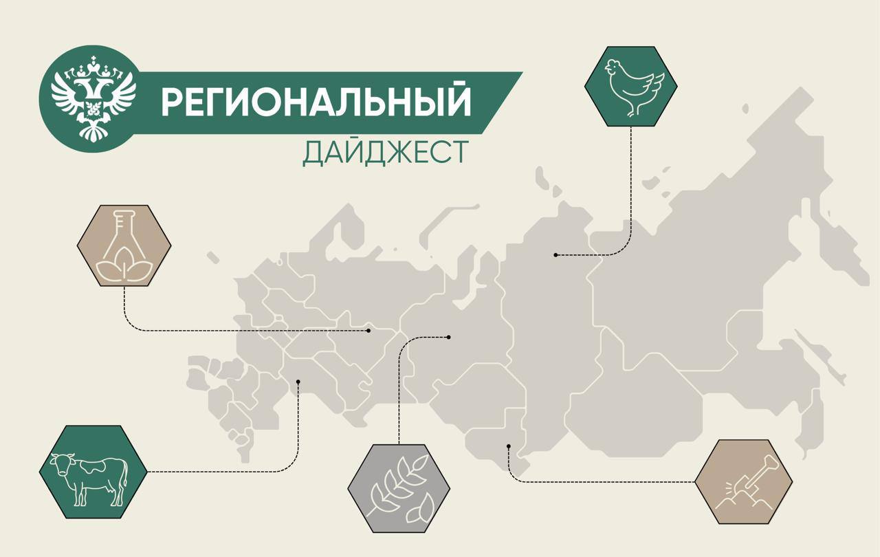 В нашей постоянной рубрике рассказываем о деятельности Россельхознадзора в регионах